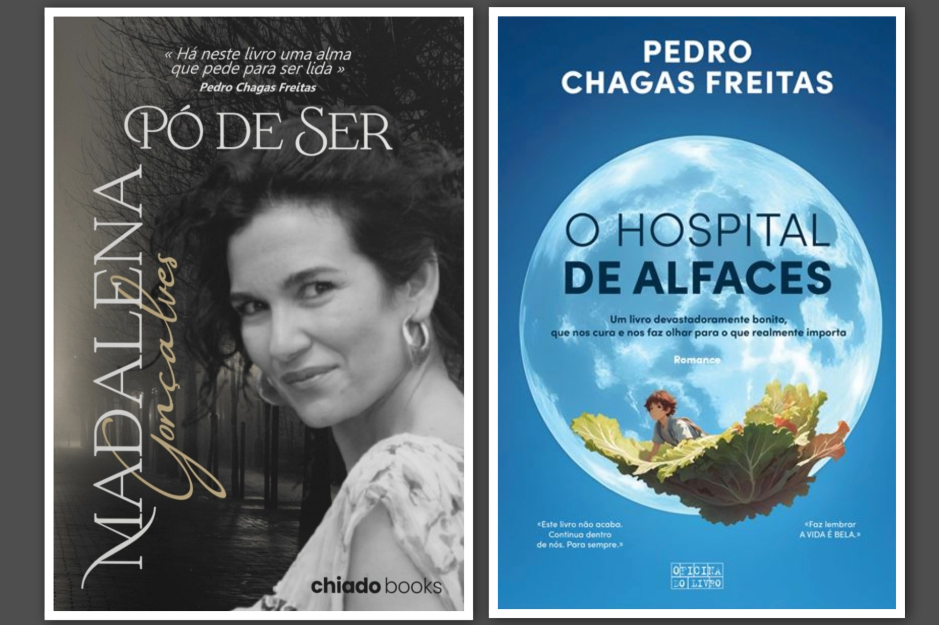 " Pó de Ser " com um blurb de PEDRO CHAGAS FREITAS /  "Há neste livro uma alma que pede para ser lida."  Pedro Chagas Freitas 